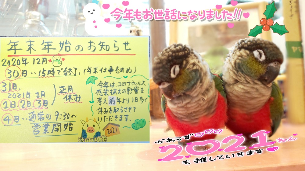 2020年(2021年) 年末年始のお知らせ