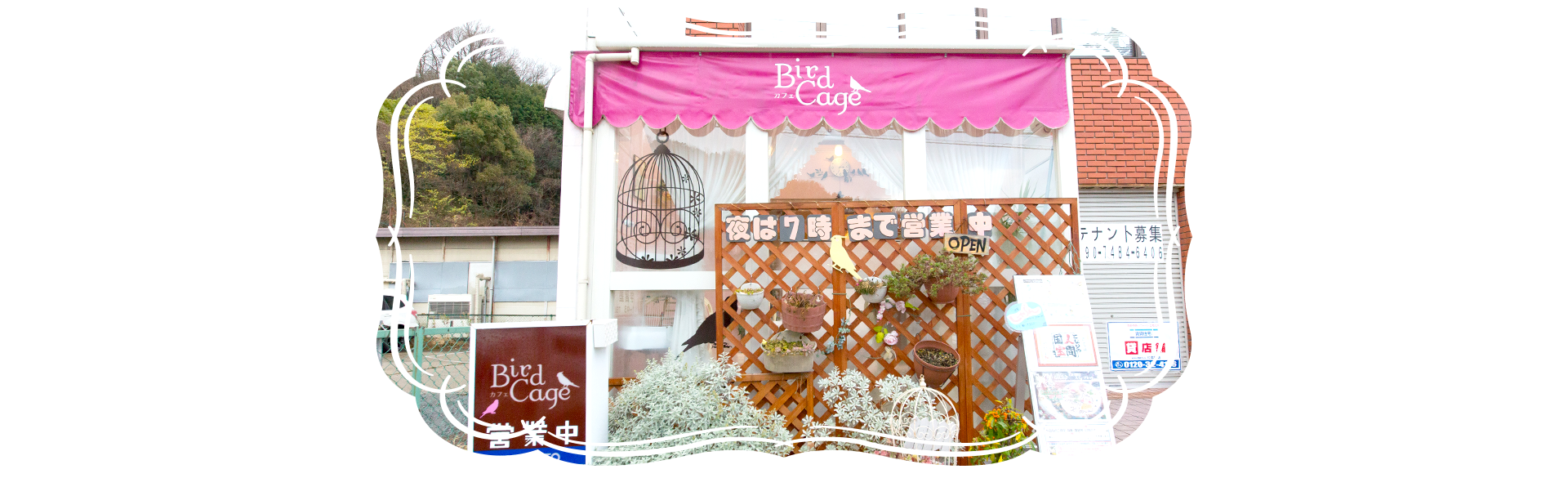 とりカフェ Bird cage